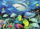 Maľovanie podľa čísel - Žraloky pri útese 40 x 30 cm